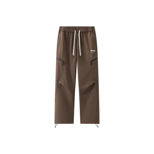 JEEP SPIRIT Унисекс Брюки карго