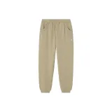 Верблюжий цвет