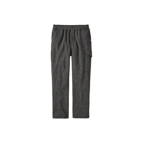 Patagonia Мужские Повседневные Брюки