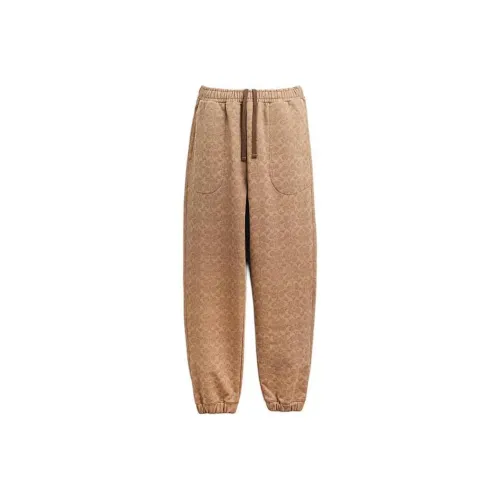 COACH SS24 Вязаные тренировочные брюки мужские коричнево-желтые