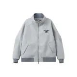 Пилотный серый