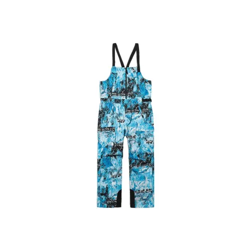 THE NORTH FACE Ветрозащитные штаны мужские синие