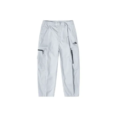 THE NORTH FACE Urban Exploration Повседневные брюки Мужские Серые