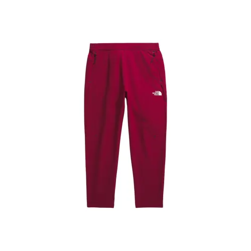 The North Face Tekware™ Сетка Брюки Вязаные Тренировочные брюки Мужской Beetroot