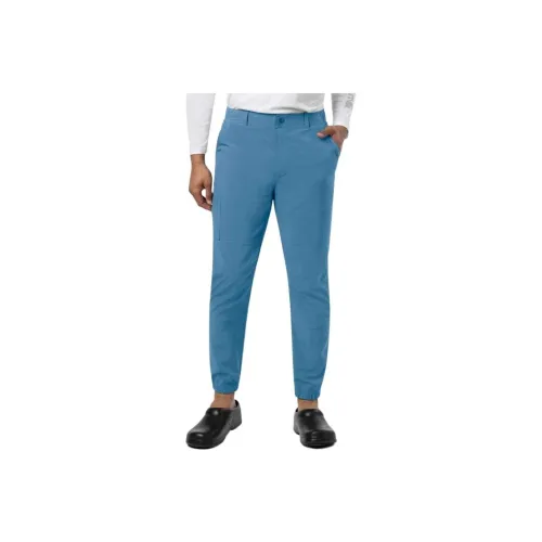 Carhartt C56110 Carhartt Force Collection Крест Flex Jogger SCRUB Брюки Повседневные брюки Обычный крой Мужской