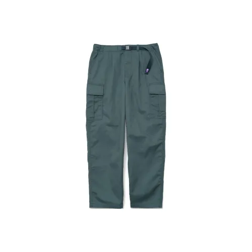 THE NORTH FACE PURPLE LABEL Винтажный зеленый Мужские Повседневные Штаны