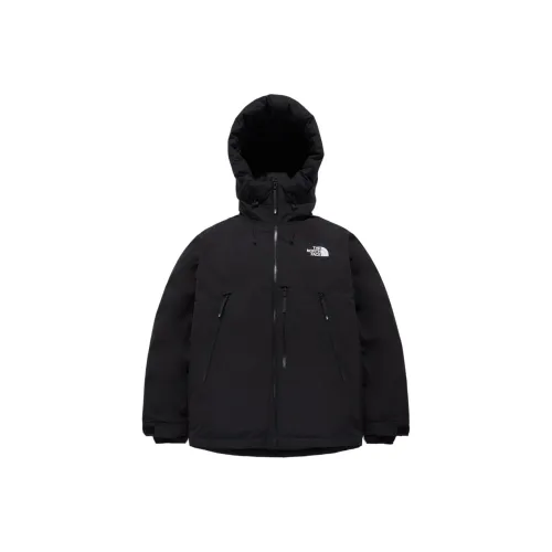 The North Face THE NORTH FACE Apparel Collection Черный мужской пуховик и зимнее пальто