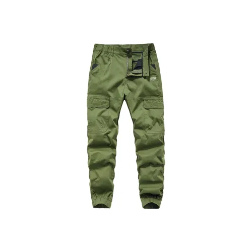 JEEP SPIRIT Мужские Повседневные Брюки