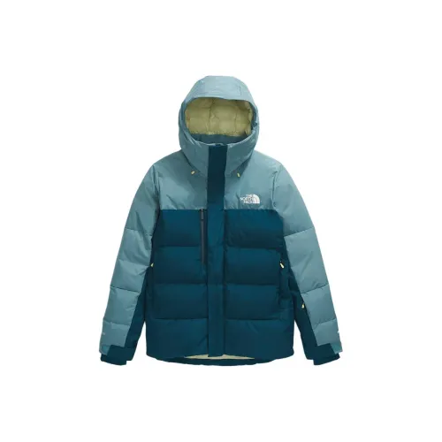 The North Face FW24 Пуховики и зимние пальто Мужской Полночный бензиновый цвет Морская трава синий