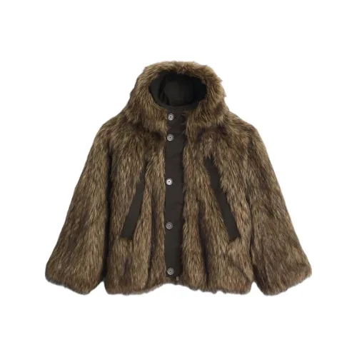 ZARA Коричневый Мужской Товары из меха