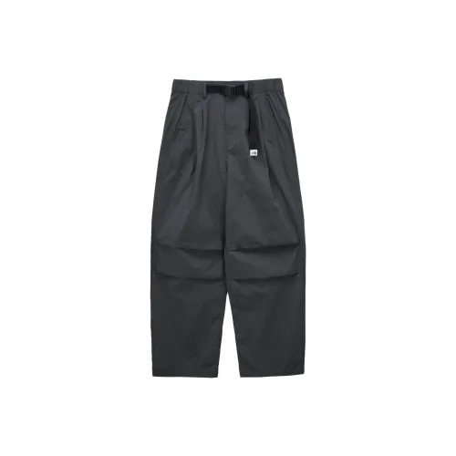THE NORTH FACE Повседневные штаны Унисекс Серый