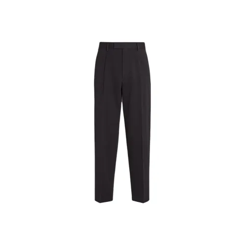 Ermenegildo Zegna Темно-коричневые Мужские Повседневные Штаны