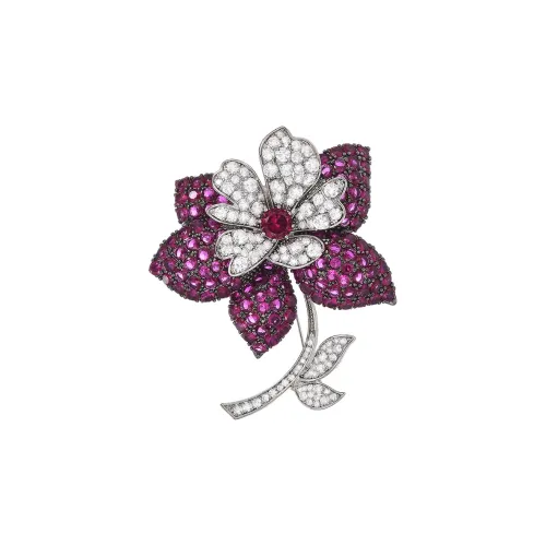 Marco Bizzarri Броши Женские