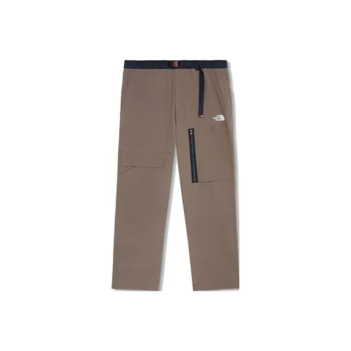 THE NORTH FACE Повседневные брюки Мужские Темно-кофейные