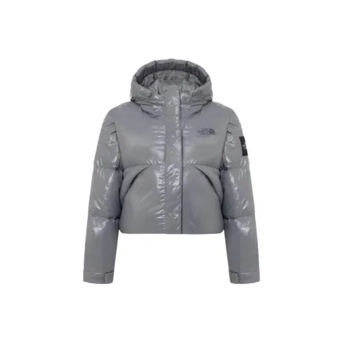 The North Face THE NORTH FACE Apparel Collection Пуховики и зимние пальто Унисекс Серый