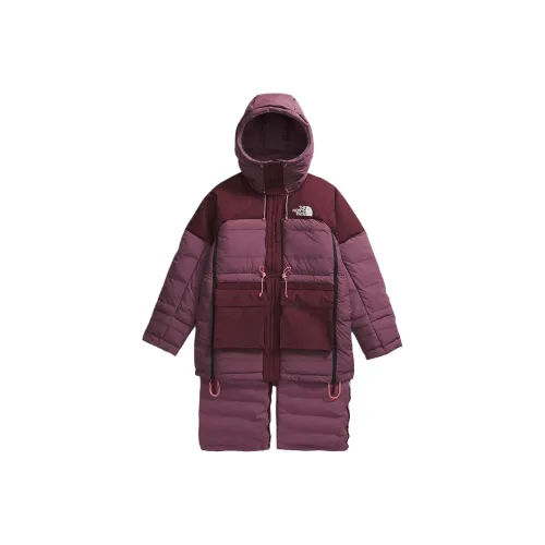 THE NORTH FACE FW24 PARKA Пальто Мужское Alpine Сливовый Полночь Фуксия