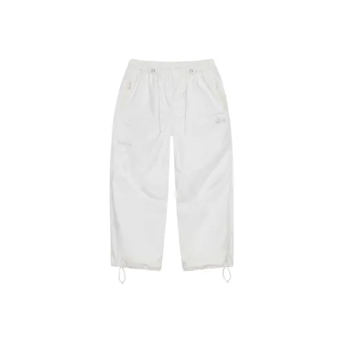 Stussy SS24 Gore TEX OVER TROUSER Повседневные брюки Унисекс