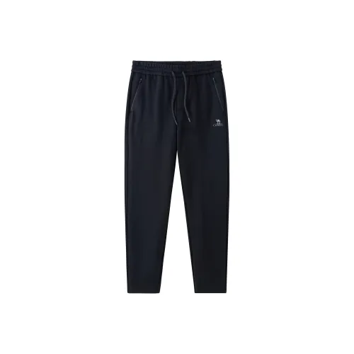 CAMEL Однотонный Прямой крой Повседневный Флис С подкладкой Теплоизоляционный Эластичный Длинный Хлопок Feel Вязаные Спортивные брюки Мужские