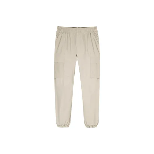 CHAOJIANTA Повседневные брюки Мужские Earth Серый однотонный