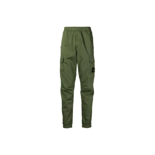 Stone Island Зеленые Мужские Повседневные Брюки