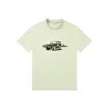 Фруктово-зеленый