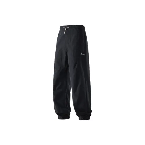 JEEP Pasture Horse Lifestyle Повседневные брюки Унисекс