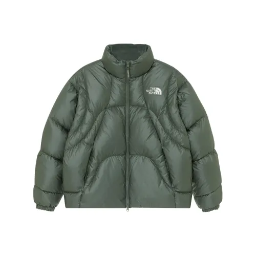 The North Face Пуховики и зимние пальто Мужской Зеленый