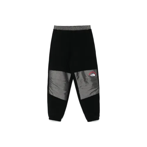 THE NORTH FACE Повседневные брюки Мужские Черные