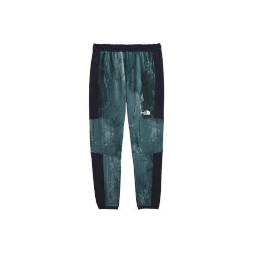 THE NORTH FACE Морской Синий Мужские Повседневные Штаны