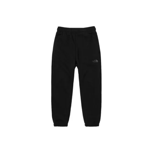 The North Face Черные Мужские Повседневные Штаны