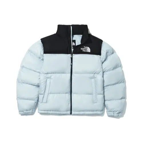 THE NORTH FACE Nuptse HYBRID Down Jacket Unisex Airstream Blue