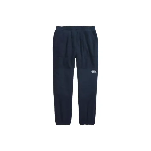 THE NORTH FACE Повседневные брюки Мужские Морской синий