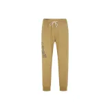 Верблюжий цвет