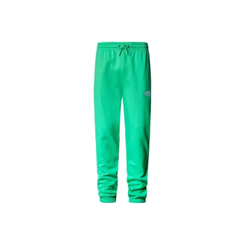THE NORTH FACE Мужские ESSENTIAL JOGGERS Вязаные Спортивные Штаны Мужские Jadeite Зеленый