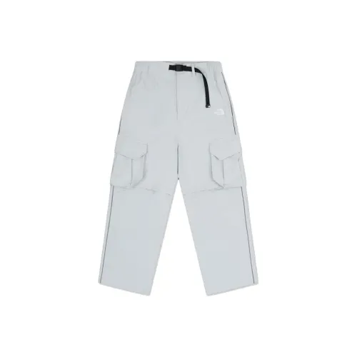 THE NORTH FACE SS25 Повседневные брюки Мужские A0M Звездный Серый