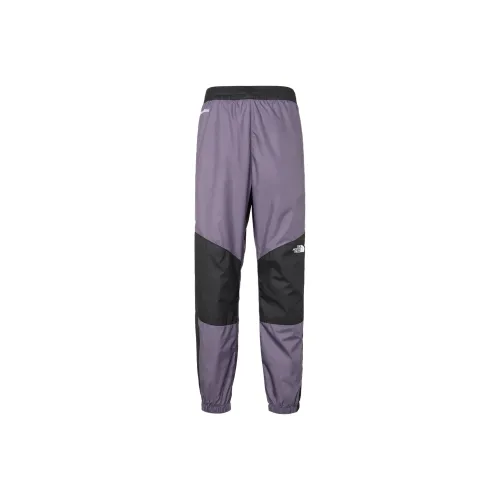 THE NORTH FACE Повседневные брюки Мужские Фиолетовые