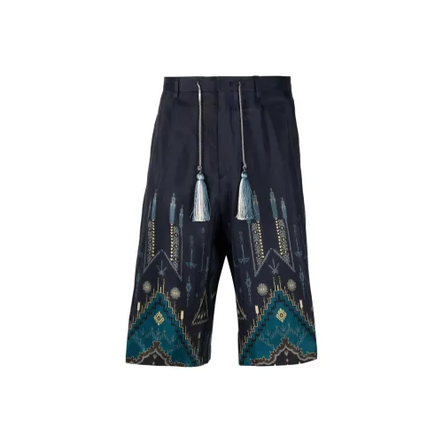 ETRO Многоцветные Мужские Повседневные Шорты