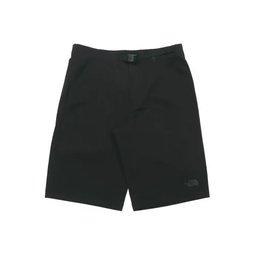 THE NORTH FACE Быстросохнущие брюки мужские