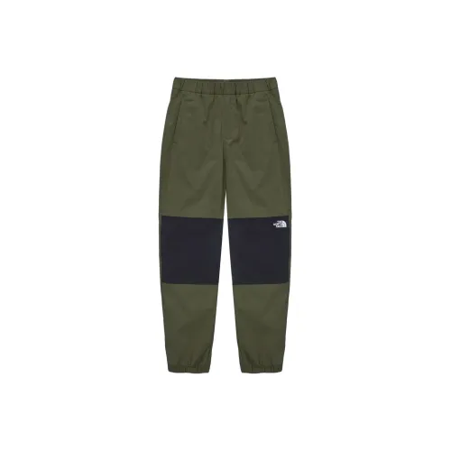 THE NORTH FACE Повседневные брюки Мужские Оливково-зеленые