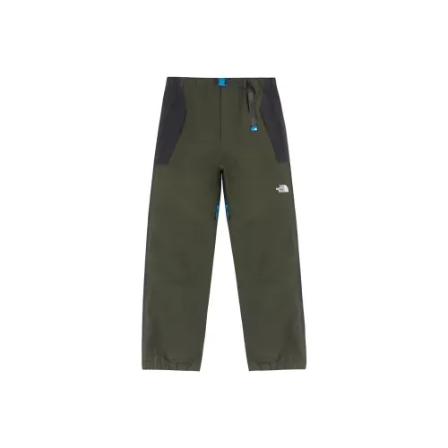 The North Face GORETEX TheNorthFace Ветрозащитные штаны Мужские Зеленые