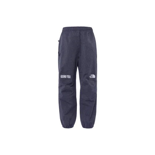 The North Face Back in Blue Series Ветрозащитные штаны Мужские Синие