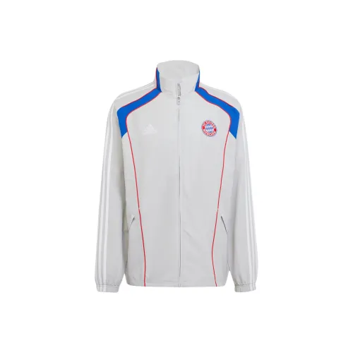 Adidas FC BayernTrack Куртка Мужская Серебристо-Серый