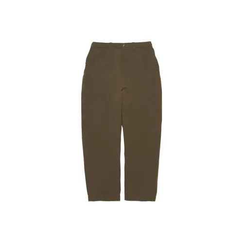 THE NORTH FACE PURPLE LABEL Шалфейно-зеленый Мужские Повседневные Штаны