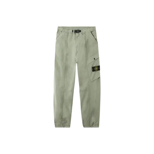 STONE ISLAND SS25 Шалфейный Зеленый Мужские Карго Брюки