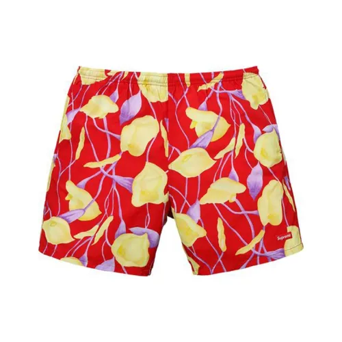 Supreme SS18 Унисекс Повседневные шорты