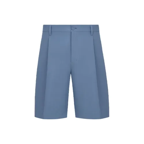 DIOR Quarterly New Products Blue Men's Casual Shorts DIOR Quarterly New Products Синий Мужской Повседневный Шорты
