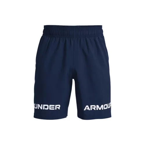 Under Armour Woven Collection Темно-синие Мужские Повседневные Шорты
