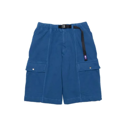 THE NORTH FACE PURPLE LABEL Синие Мужские Повседневные Шорты