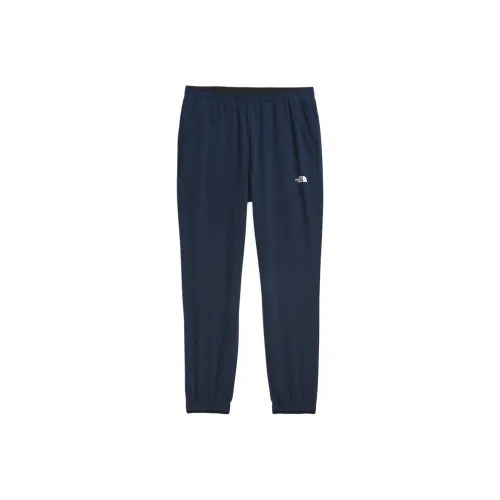 THE NORTH FACE Мужские Joggers 2,0 для прогулок повседневные брюки мужской морской синий