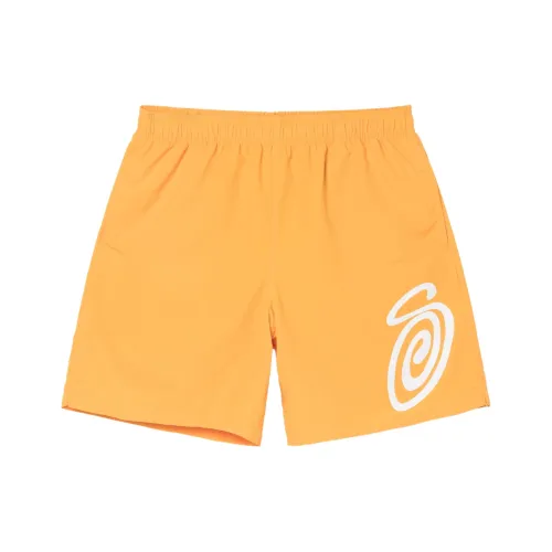 Stussy Унисекс Повседневные шорты